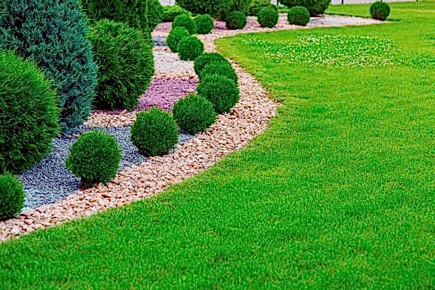 Ünal Pezaj Avcılar